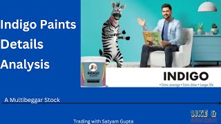 Indigo paints details anlaysis  how to find multi bagger stock  Paint company stock [upl. by Razec113]