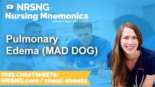 Pulmonary Edema MAD DOG Nursing Mnemonics Nursing School Study Tips [upl. by Rimisac]