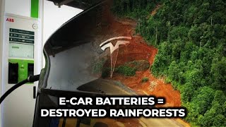 Ecars are destroying Indonesias rainforests [upl. by Edith]