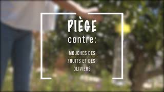 TUTO  Piège mouches des fruits et des oliviers [upl. by Nohtiek]