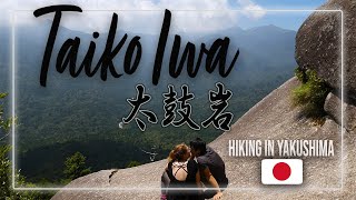 HIKING IN PRINCESS MONONOKE FOREST  Yakushima Taiko Iwa hike [upl. by Llireva]