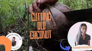 Athalia Jael Tv is live Another Satisfying ASMR Old Buko Peeling ASMR BUKO satisfying trending [upl. by Ytak]