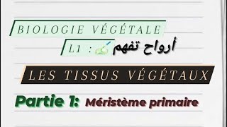 biologie végétale L1  tissus végétaux les méristèmes primaire ❤️ [upl. by Ado661]