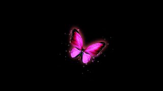 Pink butterfly flying black screen  black screen butterfly  butterfly black screen effect [upl. by Adnuahs]