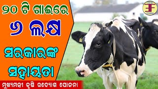 20 Cows Dairy Farm Project Report under MKUY Scheme in Odisha Mukhyamantri Krushi Udyog Yojana [upl. by Acino]