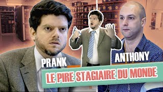 Le pire stagiaire Orange  Anthony [upl. by Nickolai]