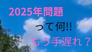 2025年問題 医療費介護費値上げ [upl. by Brigg]