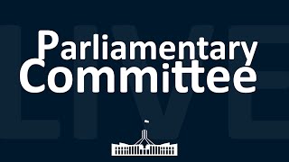 Foreign Affairs Defence and Trade Legislation Committee  02072024 [upl. by Mafala]