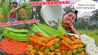 NGABISIN NASI ‼️ TEBU TELUR HASIL KEBUN EMAK DIMASAK KUAH PEDAS GAK BIKIN KENYANGNAMBAH TERUS 🤤 [upl. by Andromede]