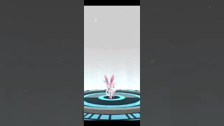 Evolve shiny Eevee into Sylveon  Pokemon evolution  Eevee evolutions  pokemongo tips and tricks [upl. by Colette]