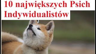 10 największych Psich Indywidualistów [upl. by Sunday]