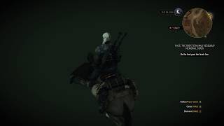 The Witcher 3  Horse Race Bug [upl. by Eisserc882]