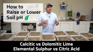 How to Change Your Soil pH  Calcitic Lime vs Dolomitic Lime Elemental Sulfur vs Citric Acid [upl. by Amalberga]