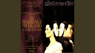 The Marriage of Figaro Overture [upl. by Rickie]