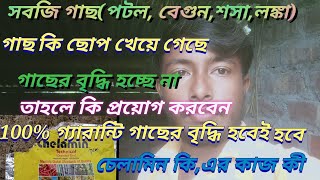 সবজি গাছ ছোপ খেয়ে গেছেchelamin plus uses bengaliচেলামিনের ব্যাবহারচেলামিন এর কাজ চেলামিন কি [upl. by Alhan199]