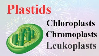 PlastidsChloroplastChromoplast and Leucoplasttheir Function in plants By Smart Learning 47 [upl. by Percy310]