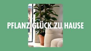 Pflanz Glück Zu Hause [upl. by Artined572]