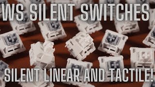 Silent Tactile and Silent Linear Switches Are Silent Switches Still Worth It Full Review on Vega65 [upl. by Derron]