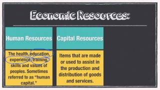 EconomicsCircular Flow Model [upl. by Nacul418]