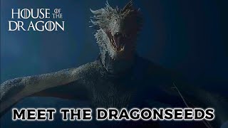 House of the Dragon Season 2  Meet The Dragonseeds [upl. by Mallis]