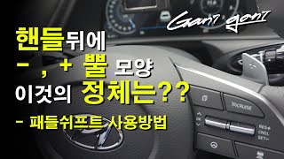 ★패들쉬프트 기본사용 방법★How to Use the Paddle Shift Basic  가니가니 [upl. by Arrio]