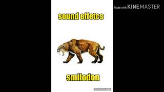 smilodon sound effetcs [upl. by Yuzik]