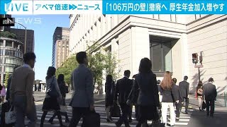 「106万円の壁」収入条件を撤廃へ 厚生年金加入増やす2024年11月8日 [upl. by Ruamaj509]