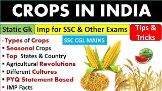 Crops in India Agricultural Revolution Static gk Tips and tricks🌝 [upl. by Lucilla894]