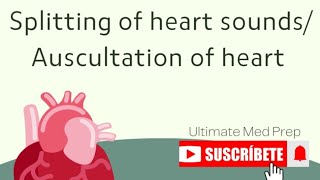 Splitting of heart sounds auscultation of heartpathological heart sounds [upl. by Yrailih]