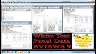 White Test Panel Data EVIEWS 9 [upl. by Arman]