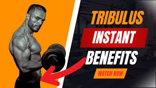 👊Tribulus Terrestris BOOMS Your Performance and Recovery🤫 [upl. by Akinert]