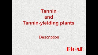 TanninBasic IntroductionHINDI  Secondary Metabolite What are Tannins  tanninyielding plants [upl. by Aniled]