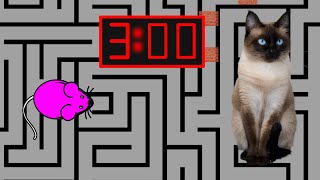 3 Minute Timer MOUSE MAZE 🐭 [upl. by Sung101]