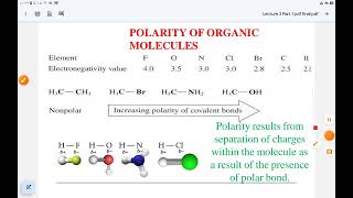 Electronegativity  Organic Chemistry  Biotech شرح السالبية الكهربية Lec 1 p1 [upl. by Nannahs]