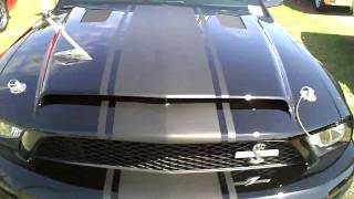 Ford Shelby GT500 Super Snake at the 2010 Daytona Spring Show [upl. by Keslie465]