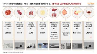 Optimizing Tumor Microenvironment Imaging Dr Selina Soyeon Ahn from IVIM Technology [upl. by Imij]