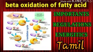 Beta oxidation of fatty acid [upl. by Nesmat]