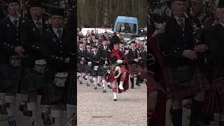 Massed Highland Pipes and Drums marching at Dunrobin Castle in Sutherland Scotland shorts [upl. by Bennink]