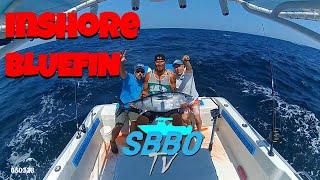 Episode 3  Inshore Bluefin [upl. by Imeon183]