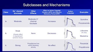 Antiarrhythmics Lesson 2  Sodium Channel Blockers [upl. by Mariejeanne]