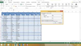 Excel 2013  Dataanalyse  18 Filteren met functies [upl. by Ilram]