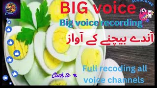 Garam Ande Uble Ande Bechne Ki Awaz Big voice 26 [upl. by Eannej]