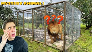 BUILDING HUGE HABITAT FOR NEW MYSTERY ZOO ANIMAL [upl. by Allenotna]