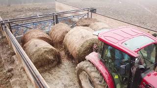 Large Hay Feeder  Eden Shale Farm [upl. by Enajyram]