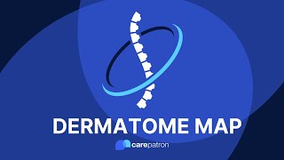 Dermatome Map [upl. by Llenrub]