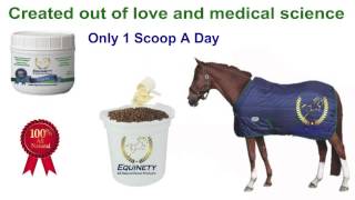 What is Equinety The Worlds Best Horse Supplement [upl. by Jordanson246]