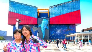 Kaiyukan Aquarium and Tempozan Mall Osaka Japan November 2023 [upl. by Oicnerolf879]