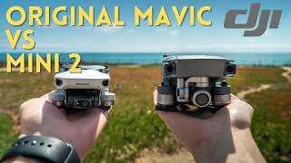 Original DJI Mavic Pro VS DJI Mini 2  Which One Should You Get [upl. by Dwaine338]