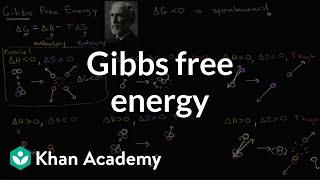 Gibbs free energy and spontaneous reactions  Biology  Khan Academy [upl. by Itra42]