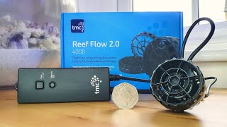 TMC Reef Flow 20  First Look amp Unboxing [upl. by Loni77]